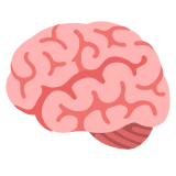 Мозък - Noto Color Emoji
