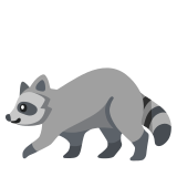 Енот - Noto Color Emoji