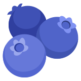 Черни боровинки - Noto Color Emoji