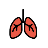 Дробове - OpenMoji