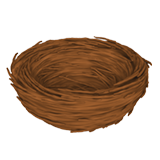 Празно гнездо