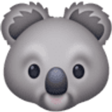 Коала - Facebook
