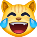 Котешко лице със сълзи от радост - Facebook