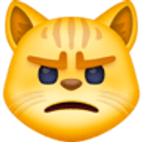 Нацупено котешко лице - Facebook