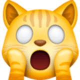 Изтощено котешко лице - Facebook