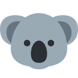 Коала - Twitter / X