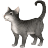 Котка - Facebook