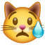 Плачеща котка Whatsapp U+1F63F Плачеща котка Whatsapp U+1F63F